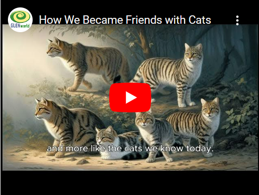 How We Became Friends With Cats Thumbnail