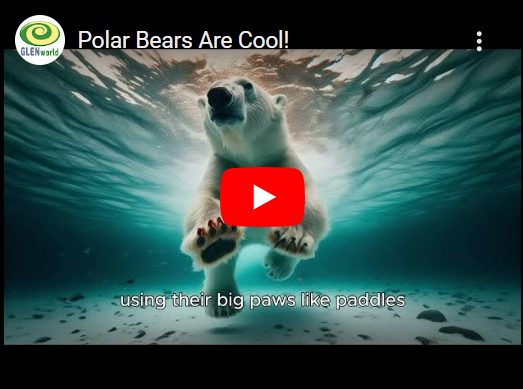 Polar Bears Are Cool! Thumbnail